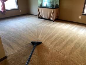 Steam Cleaned Carpets