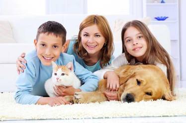 Family and Pets on Clean Carpet